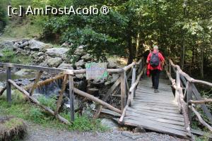 [P05] Poteca turistică spre Cascada Scoruș, Mălaia, Primul Podeț de lemn peste râul Budureasa Mare » foto by mprofeanu
 - 
<span class="allrVoted glyphicon glyphicon-heart hidden" id="av1392489"></span>
<a class="m-l-10 hidden" id="sv1392489" onclick="voting_Foto_DelVot(,1392489,26611)" role="button">șterge vot <span class="glyphicon glyphicon-remove"></span></a>
<a id="v91392489" class=" c-red"  onclick="voting_Foto_SetVot(1392489)" role="button"><span class="glyphicon glyphicon-heart-empty"></span> <b>LIKE</b> = Votează poza</a> <img class="hidden"  id="f1392489W9" src="/imagini/loader.gif" border="0" /><span class="AjErrMes hidden" id="e1392489ErM"></span>