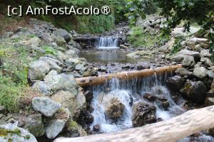 [P06] Poteca turistică spre Cascada Scoruș, Mălaia, Râul Budureasa Mare și mici cascade... » foto by mprofeanu
 - 
<span class="allrVoted glyphicon glyphicon-heart hidden" id="av1392490"></span>
<a class="m-l-10 hidden" id="sv1392490" onclick="voting_Foto_DelVot(,1392490,26611)" role="button">șterge vot <span class="glyphicon glyphicon-remove"></span></a>
<a id="v91392490" class=" c-red"  onclick="voting_Foto_SetVot(1392490)" role="button"><span class="glyphicon glyphicon-heart-empty"></span> <b>LIKE</b> = Votează poza</a> <img class="hidden"  id="f1392490W9" src="/imagini/loader.gif" border="0" /><span class="AjErrMes hidden" id="e1392490ErM"></span>