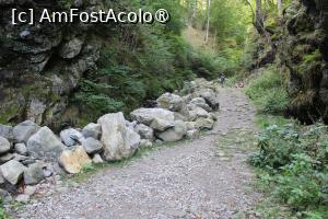 [P07] Poteca turistică spre Cascada Scoruș, Mălaia, bine amenajată și întreținută, cu acele mici diguri pentru protecție... » foto by mprofeanu
 - 
<span class="allrVoted glyphicon glyphicon-heart hidden" id="av1392491"></span>
<a class="m-l-10 hidden" id="sv1392491" onclick="voting_Foto_DelVot(,1392491,26611)" role="button">șterge vot <span class="glyphicon glyphicon-remove"></span></a>
<a id="v91392491" class=" c-red"  onclick="voting_Foto_SetVot(1392491)" role="button"><span class="glyphicon glyphicon-heart-empty"></span> <b>LIKE</b> = Votează poza</a> <img class="hidden"  id="f1392491W9" src="/imagini/loader.gif" border="0" /><span class="AjErrMes hidden" id="e1392491ErM"></span>