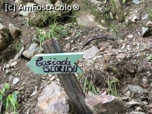 [P11] Schimbare importanta de directie, parasim firul vaii si urcam la stanga putin pieptis » foto by Dan&Ema
 - 
<span class="allrVoted glyphicon glyphicon-heart hidden" id="av1083361"></span>
<a class="m-l-10 hidden" id="sv1083361" onclick="voting_Foto_DelVot(,1083361,26611)" role="button">șterge vot <span class="glyphicon glyphicon-remove"></span></a>
<a id="v91083361" class=" c-red"  onclick="voting_Foto_SetVot(1083361)" role="button"><span class="glyphicon glyphicon-heart-empty"></span> <b>LIKE</b> = Votează poza</a> <img class="hidden"  id="f1083361W9" src="/imagini/loader.gif" border="0" /><span class="AjErrMes hidden" id="e1083361ErM"></span>
