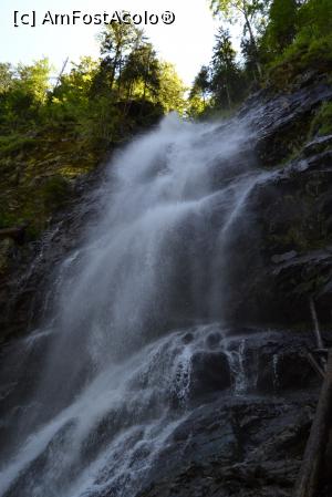 [P24] Cascada Scoruşu » foto by zlatna
 - 
<span class="allrVoted glyphicon glyphicon-heart hidden" id="av753824"></span>
<a class="m-l-10 hidden" id="sv753824" onclick="voting_Foto_DelVot(,753824,26611)" role="button">șterge vot <span class="glyphicon glyphicon-remove"></span></a>
<a id="v9753824" class=" c-red"  onclick="voting_Foto_SetVot(753824)" role="button"><span class="glyphicon glyphicon-heart-empty"></span> <b>LIKE</b> = Votează poza</a> <img class="hidden"  id="f753824W9" src="/imagini/loader.gif" border="0" /><span class="AjErrMes hidden" id="e753824ErM"></span>