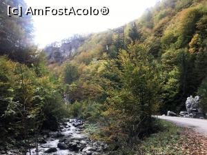 [P19] Pe valea Latoriței » foto by AZE
 - 
<span class="allrVoted glyphicon glyphicon-heart hidden" id="av1195525"></span>
<a class="m-l-10 hidden" id="sv1195525" onclick="voting_Foto_DelVot(,1195525,26611)" role="button">șterge vot <span class="glyphicon glyphicon-remove"></span></a>
<a id="v91195525" class=" c-red"  onclick="voting_Foto_SetVot(1195525)" role="button"><span class="glyphicon glyphicon-heart-empty"></span> <b>LIKE</b> = Votează poza</a> <img class="hidden"  id="f1195525W9" src="/imagini/loader.gif" border="0" /><span class="AjErrMes hidden" id="e1195525ErM"></span>
