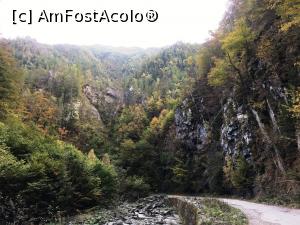 [P22] Cheile Latoriței » foto by AZE
 - 
<span class="allrVoted glyphicon glyphicon-heart hidden" id="av1195528"></span>
<a class="m-l-10 hidden" id="sv1195528" onclick="voting_Foto_DelVot(,1195528,26611)" role="button">șterge vot <span class="glyphicon glyphicon-remove"></span></a>
<a id="v91195528" class=" c-red"  onclick="voting_Foto_SetVot(1195528)" role="button"><span class="glyphicon glyphicon-heart-empty"></span> <b>LIKE</b> = Votează poza</a> <img class="hidden"  id="f1195528W9" src="/imagini/loader.gif" border="0" /><span class="AjErrMes hidden" id="e1195528ErM"></span>