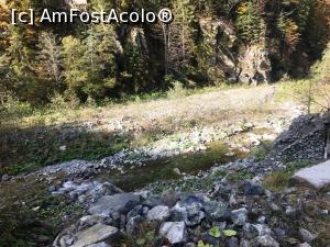 [P24] Râul Latorița » foto by AZE
 - 
<span class="allrVoted glyphicon glyphicon-heart hidden" id="av1195530"></span>
<a class="m-l-10 hidden" id="sv1195530" onclick="voting_Foto_DelVot(,1195530,26611)" role="button">șterge vot <span class="glyphicon glyphicon-remove"></span></a>
<a id="v91195530" class=" c-red"  onclick="voting_Foto_SetVot(1195530)" role="button"><span class="glyphicon glyphicon-heart-empty"></span> <b>LIKE</b> = Votează poza</a> <img class="hidden"  id="f1195530W9" src="/imagini/loader.gif" border="0" /><span class="AjErrMes hidden" id="e1195530ErM"></span>