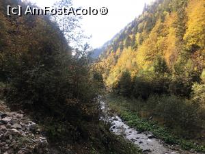 [P25] Pe valea Latoriței » foto by AZE
 - 
<span class="allrVoted glyphicon glyphicon-heart hidden" id="av1195531"></span>
<a class="m-l-10 hidden" id="sv1195531" onclick="voting_Foto_DelVot(,1195531,26611)" role="button">șterge vot <span class="glyphicon glyphicon-remove"></span></a>
<a id="v91195531" class=" c-red"  onclick="voting_Foto_SetVot(1195531)" role="button"><span class="glyphicon glyphicon-heart-empty"></span> <b>LIKE</b> = Votează poza</a> <img class="hidden"  id="f1195531W9" src="/imagini/loader.gif" border="0" /><span class="AjErrMes hidden" id="e1195531ErM"></span>