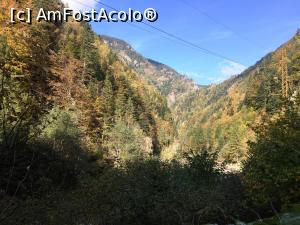 [P27]  -- <small>// FĂRĂ DESCRIERE</small> » foto by AZE
 - 
<span class="allrVoted glyphicon glyphicon-heart hidden" id="av1195533"></span>
<a class="m-l-10 hidden" id="sv1195533" onclick="voting_Foto_DelVot(,1195533,26611)" role="button">șterge vot <span class="glyphicon glyphicon-remove"></span></a>
<a id="v91195533" class=" c-red"  onclick="voting_Foto_SetVot(1195533)" role="button"><span class="glyphicon glyphicon-heart-empty"></span> <b>LIKE</b> = Votează poza</a> <img class="hidden"  id="f1195533W9" src="/imagini/loader.gif" border="0" /><span class="AjErrMes hidden" id="e1195533ErM"></span>