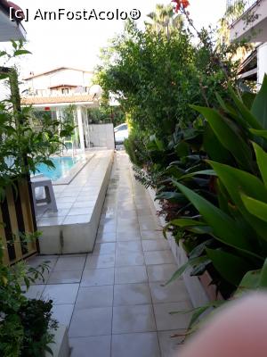 [P07] aleea care duce la piscina » foto by adrianbogdan
 - 
<span class="allrVoted glyphicon glyphicon-heart hidden" id="av1196074"></span>
<a class="m-l-10 hidden" id="sv1196074" onclick="voting_Foto_DelVot(,1196074,26613)" role="button">șterge vot <span class="glyphicon glyphicon-remove"></span></a>
<a id="v91196074" class=" c-red"  onclick="voting_Foto_SetVot(1196074)" role="button"><span class="glyphicon glyphicon-heart-empty"></span> <b>LIKE</b> = Votează poza</a> <img class="hidden"  id="f1196074W9" src="/imagini/loader.gif" border="0" /><span class="AjErrMes hidden" id="e1196074ErM"></span>