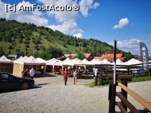 [P03] O privire spre m&acirc;ncătorii » foto by crismis
 - 
<span class="allrVoted glyphicon glyphicon-heart hidden" id="av1196948"></span>
<a class="m-l-10 hidden" id="sv1196948" onclick="voting_Foto_DelVot(,1196948,26619)" role="button">șterge vot <span class="glyphicon glyphicon-remove"></span></a>
<a id="v91196948" class=" c-red"  onclick="voting_Foto_SetVot(1196948)" role="button"><span class="glyphicon glyphicon-heart-empty"></span> <b>LIKE</b> = Votează poza</a> <img class="hidden"  id="f1196948W9" src="/imagini/loader.gif" border="0" /><span class="AjErrMes hidden" id="e1196948ErM"></span>