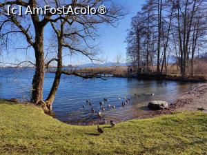 [P13] Herreninsel ne întâmpină frumos... » foto by crismis
 - 
<span class="allrVoted glyphicon glyphicon-heart hidden" id="av1430047"></span>
<a class="m-l-10 hidden" id="sv1430047" onclick="voting_Foto_DelVot(,1430047,26620)" role="button">șterge vot <span class="glyphicon glyphicon-remove"></span></a>
<a id="v91430047" class=" c-red"  onclick="voting_Foto_SetVot(1430047)" role="button"><span class="glyphicon glyphicon-heart-empty"></span> <b>LIKE</b> = Votează poza</a> <img class="hidden"  id="f1430047W9" src="/imagini/loader.gif" border="0" /><span class="AjErrMes hidden" id="e1430047ErM"></span>