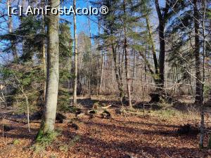 [P22] Pe drumul spre palat » foto by crismis
 - 
<span class="allrVoted glyphicon glyphicon-heart hidden" id="av1430056"></span>
<a class="m-l-10 hidden" id="sv1430056" onclick="voting_Foto_DelVot(,1430056,26620)" role="button">șterge vot <span class="glyphicon glyphicon-remove"></span></a>
<a id="v91430056" class=" c-red"  onclick="voting_Foto_SetVot(1430056)" role="button"><span class="glyphicon glyphicon-heart-empty"></span> <b>LIKE</b> = Votează poza</a> <img class="hidden"  id="f1430056W9" src="/imagini/loader.gif" border="0" /><span class="AjErrMes hidden" id="e1430056ErM"></span>