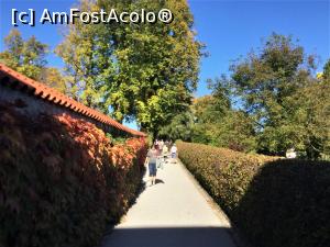 [P37] Chiemsee – Fraueninsel » foto by mishu
 - 
<span class="allrVoted glyphicon glyphicon-heart hidden" id="av1197167"></span>
<a class="m-l-10 hidden" id="sv1197167" onclick="voting_Foto_DelVot(,1197167,26620)" role="button">șterge vot <span class="glyphicon glyphicon-remove"></span></a>
<a id="v91197167" class=" c-red"  onclick="voting_Foto_SetVot(1197167)" role="button"><span class="glyphicon glyphicon-heart-empty"></span> <b>LIKE</b> = Votează poza</a> <img class="hidden"  id="f1197167W9" src="/imagini/loader.gif" border="0" /><span class="AjErrMes hidden" id="e1197167ErM"></span>