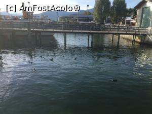 [P04] Chiemsee – ceva ratuste pe lac, relaxare » foto by mishu
 - 
<span class="allrVoted glyphicon glyphicon-heart hidden" id="av1197134"></span>
<a class="m-l-10 hidden" id="sv1197134" onclick="voting_Foto_DelVot(,1197134,26620)" role="button">șterge vot <span class="glyphicon glyphicon-remove"></span></a>
<a id="v91197134" class=" c-red"  onclick="voting_Foto_SetVot(1197134)" role="button"><span class="glyphicon glyphicon-heart-empty"></span> <b>LIKE</b> = Votează poza</a> <img class="hidden"  id="f1197134W9" src="/imagini/loader.gif" border="0" /><span class="AjErrMes hidden" id="e1197134ErM"></span>