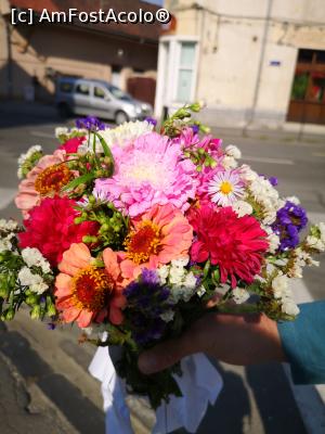 [P25] Buchetul de flori care ne-a împodobit pridvorul » foto by crismis
 - 
<span class="allrVoted glyphicon glyphicon-heart hidden" id="av1197404"></span>
<a class="m-l-10 hidden" id="sv1197404" onclick="voting_Foto_DelVot(,1197404,26621)" role="button">șterge vot <span class="glyphicon glyphicon-remove"></span></a>
<a id="v91197404" class=" c-red"  onclick="voting_Foto_SetVot(1197404)" role="button"><span class="glyphicon glyphicon-heart-empty"></span> <b>LIKE</b> = Votează poza</a> <img class="hidden"  id="f1197404W9" src="/imagini/loader.gif" border="0" /><span class="AjErrMes hidden" id="e1197404ErM"></span>
