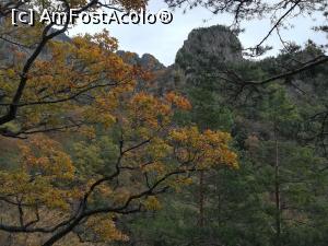 [P11] Colțul Foarfecii unde urma să urcăm » foto by Mika
 - 
<span class="allrVoted glyphicon glyphicon-heart hidden" id="av1198851"></span>
<a class="m-l-10 hidden" id="sv1198851" onclick="voting_Foto_DelVot(,1198851,26627)" role="button">șterge vot <span class="glyphicon glyphicon-remove"></span></a>
<a id="v91198851" class=" c-red"  onclick="voting_Foto_SetVot(1198851)" role="button"><span class="glyphicon glyphicon-heart-empty"></span> <b>LIKE</b> = Votează poza</a> <img class="hidden"  id="f1198851W9" src="/imagini/loader.gif" border="0" /><span class="AjErrMes hidden" id="e1198851ErM"></span>