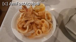 [P45] Dimitra Restaurant - calamarii. » foto by Carmen Ion
 - 
<span class="allrVoted glyphicon glyphicon-heart hidden" id="av1200922"></span>
<a class="m-l-10 hidden" id="sv1200922" onclick="voting_Foto_DelVot(,1200922,26638)" role="button">șterge vot <span class="glyphicon glyphicon-remove"></span></a>
<a id="v91200922" class=" c-red"  onclick="voting_Foto_SetVot(1200922)" role="button"><span class="glyphicon glyphicon-heart-empty"></span> <b>LIKE</b> = Votează poza</a> <img class="hidden"  id="f1200922W9" src="/imagini/loader.gif" border="0" /><span class="AjErrMes hidden" id="e1200922ErM"></span>