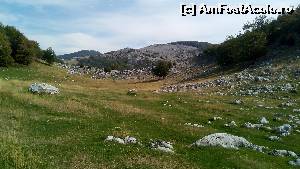 [P11]  -- <small>// FĂRĂ DESCRIERE</small> » foto by noi doi
 - 
<span class="allrVoted glyphicon glyphicon-heart hidden" id="av678832"></span>
<a class="m-l-10 hidden" id="sv678832" onclick="voting_Foto_DelVot(,678832,26648)" role="button">șterge vot <span class="glyphicon glyphicon-remove"></span></a>
<a id="v9678832" class=" c-red"  onclick="voting_Foto_SetVot(678832)" role="button"><span class="glyphicon glyphicon-heart-empty"></span> <b>LIKE</b> = Votează poza</a> <img class="hidden"  id="f678832W9" src="/imagini/loader.gif" border="0" /><span class="AjErrMes hidden" id="e678832ErM"></span>