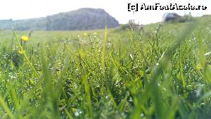 [P12] La firul ierbii!  » foto by noi doi
 - 
<span class="allrVoted glyphicon glyphicon-heart hidden" id="av678833"></span>
<a class="m-l-10 hidden" id="sv678833" onclick="voting_Foto_DelVot(,678833,26648)" role="button">șterge vot <span class="glyphicon glyphicon-remove"></span></a>
<a id="v9678833" class=" c-red"  onclick="voting_Foto_SetVot(678833)" role="button"><span class="glyphicon glyphicon-heart-empty"></span> <b>LIKE</b> = Votează poza</a> <img class="hidden"  id="f678833W9" src="/imagini/loader.gif" border="0" /><span class="AjErrMes hidden" id="e678833ErM"></span>
