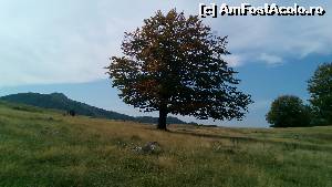 [P15] Mai sus de crov, spre Poiana Plostinioarele!  » foto by noi doi
 - 
<span class="allrVoted glyphicon glyphicon-heart hidden" id="av678836"></span>
<a class="m-l-10 hidden" id="sv678836" onclick="voting_Foto_DelVot(,678836,26648)" role="button">șterge vot <span class="glyphicon glyphicon-remove"></span></a>
<a id="v9678836" class=" c-red"  onclick="voting_Foto_SetVot(678836)" role="button"><span class="glyphicon glyphicon-heart-empty"></span> <b>LIKE</b> = Votează poza</a> <img class="hidden"  id="f678836W9" src="/imagini/loader.gif" border="0" /><span class="AjErrMes hidden" id="e678836ErM"></span>