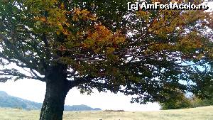 [P16]  -- <small>// FĂRĂ DESCRIERE</small> » foto by noi doi
 - 
<span class="allrVoted glyphicon glyphicon-heart hidden" id="av678837"></span>
<a class="m-l-10 hidden" id="sv678837" onclick="voting_Foto_DelVot(,678837,26648)" role="button">șterge vot <span class="glyphicon glyphicon-remove"></span></a>
<a id="v9678837" class=" c-red"  onclick="voting_Foto_SetVot(678837)" role="button"><span class="glyphicon glyphicon-heart-empty"></span> <b>LIKE</b> = Votează poza</a> <img class="hidden"  id="f678837W9" src="/imagini/loader.gif" border="0" /><span class="AjErrMes hidden" id="e678837ErM"></span>