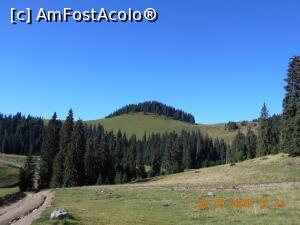 [P43] drumul spre peșteră » foto by zlatna
 - 
<span class="allrVoted glyphicon glyphicon-heart hidden" id="av1210476"></span>
<a class="m-l-10 hidden" id="sv1210476" onclick="voting_Foto_DelVot(,1210476,26655)" role="button">șterge vot <span class="glyphicon glyphicon-remove"></span></a>
<a id="v91210476" class=" c-red"  onclick="voting_Foto_SetVot(1210476)" role="button"><span class="glyphicon glyphicon-heart-empty"></span> <b>LIKE</b> = Votează poza</a> <img class="hidden"  id="f1210476W9" src="/imagini/loader.gif" border="0" /><span class="AjErrMes hidden" id="e1210476ErM"></span>