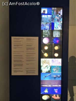[P24] Muzeul german de istorie medicala - si ceva mai multe noutati » foto by mishu
 - 
<span class="allrVoted glyphicon glyphicon-heart hidden" id="av1207534"></span>
<a class="m-l-10 hidden" id="sv1207534" onclick="voting_Foto_DelVot(,1207534,26668)" role="button">șterge vot <span class="glyphicon glyphicon-remove"></span></a>
<a id="v91207534" class=" c-red"  onclick="voting_Foto_SetVot(1207534)" role="button"><span class="glyphicon glyphicon-heart-empty"></span> <b>LIKE</b> = Votează poza</a> <img class="hidden"  id="f1207534W9" src="/imagini/loader.gif" border="0" /><span class="AjErrMes hidden" id="e1207534ErM"></span>