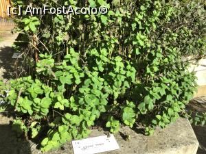 [P32] Muzeul german de istorie medicala - si ceva menta » foto by mishu
 - 
<span class="allrVoted glyphicon glyphicon-heart hidden" id="av1207542"></span>
<a class="m-l-10 hidden" id="sv1207542" onclick="voting_Foto_DelVot(,1207542,26668)" role="button">șterge vot <span class="glyphicon glyphicon-remove"></span></a>
<a id="v91207542" class=" c-red"  onclick="voting_Foto_SetVot(1207542)" role="button"><span class="glyphicon glyphicon-heart-empty"></span> <b>LIKE</b> = Votează poza</a> <img class="hidden"  id="f1207542W9" src="/imagini/loader.gif" border="0" /><span class="AjErrMes hidden" id="e1207542ErM"></span>