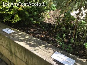 [P33] Muzeul german de istorie medicala - dar si alte plante » foto by mishu
 - 
<span class="allrVoted glyphicon glyphicon-heart hidden" id="av1207543"></span>
<a class="m-l-10 hidden" id="sv1207543" onclick="voting_Foto_DelVot(,1207543,26668)" role="button">șterge vot <span class="glyphicon glyphicon-remove"></span></a>
<a id="v91207543" class=" c-red"  onclick="voting_Foto_SetVot(1207543)" role="button"><span class="glyphicon glyphicon-heart-empty"></span> <b>LIKE</b> = Votează poza</a> <img class="hidden"  id="f1207543W9" src="/imagini/loader.gif" border="0" /><span class="AjErrMes hidden" id="e1207543ErM"></span>