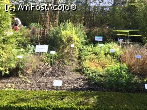 [P40] Muzeul german de istorie medicala - si alte plante » foto by mishu
 - 
<span class="allrVoted glyphicon glyphicon-heart hidden" id="av1207550"></span>
<a class="m-l-10 hidden" id="sv1207550" onclick="voting_Foto_DelVot(,1207550,26668)" role="button">șterge vot <span class="glyphicon glyphicon-remove"></span></a>
<a id="v91207550" class=" c-red"  onclick="voting_Foto_SetVot(1207550)" role="button"><span class="glyphicon glyphicon-heart-empty"></span> <b>LIKE</b> = Votează poza</a> <img class="hidden"  id="f1207550W9" src="/imagini/loader.gif" border="0" /><span class="AjErrMes hidden" id="e1207550ErM"></span>
