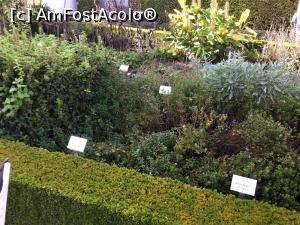 [P46] Muzeul german de istorie medicala - alte plante » foto by mishu
 - 
<span class="allrVoted glyphicon glyphicon-heart hidden" id="av1207556"></span>
<a class="m-l-10 hidden" id="sv1207556" onclick="voting_Foto_DelVot(,1207556,26668)" role="button">șterge vot <span class="glyphicon glyphicon-remove"></span></a>
<a id="v91207556" class=" c-red"  onclick="voting_Foto_SetVot(1207556)" role="button"><span class="glyphicon glyphicon-heart-empty"></span> <b>LIKE</b> = Votează poza</a> <img class="hidden"  id="f1207556W9" src="/imagini/loader.gif" border="0" /><span class="AjErrMes hidden" id="e1207556ErM"></span>