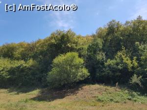 [P27] La marginea Pădurii Hagieni. » foto by Floryn81
 - 
<span class="allrVoted glyphicon glyphicon-heart hidden" id="av1207882"></span>
<a class="m-l-10 hidden" id="sv1207882" onclick="voting_Foto_DelVot(,1207882,26680)" role="button">șterge vot <span class="glyphicon glyphicon-remove"></span></a>
<a id="v91207882" class=" c-red"  onclick="voting_Foto_SetVot(1207882)" role="button"><span class="glyphicon glyphicon-heart-empty"></span> <b>LIKE</b> = Votează poza</a> <img class="hidden"  id="f1207882W9" src="/imagini/loader.gif" border="0" /><span class="AjErrMes hidden" id="e1207882ErM"></span>