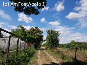 [P28] Am traversat Pădurea Hagieni și am ieșit în satul Albești. Numai bine! » foto by Floryn81
 - 
<span class="allrVoted glyphicon glyphicon-heart hidden" id="av1207883"></span>
<a class="m-l-10 hidden" id="sv1207883" onclick="voting_Foto_DelVot(,1207883,26680)" role="button">șterge vot <span class="glyphicon glyphicon-remove"></span></a>
<a id="v91207883" class=" c-red"  onclick="voting_Foto_SetVot(1207883)" role="button"><span class="glyphicon glyphicon-heart-empty"></span> <b>LIKE</b> = Votează poza</a> <img class="hidden"  id="f1207883W9" src="/imagini/loader.gif" border="0" /><span class="AjErrMes hidden" id="e1207883ErM"></span>