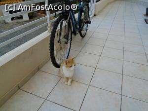 [P27] Ai răbdare, că acuș terminăm de mâncat peștele... » foto by Carmen Ion
 - 
<span class="allrVoted glyphicon glyphicon-heart hidden" id="av1209143"></span>
<a class="m-l-10 hidden" id="sv1209143" onclick="voting_Foto_DelVot(,1209143,26686)" role="button">șterge vot <span class="glyphicon glyphicon-remove"></span></a>
<a id="v91209143" class=" c-red"  onclick="voting_Foto_SetVot(1209143)" role="button"><span class="glyphicon glyphicon-heart-empty"></span> <b>LIKE</b> = Votează poza</a> <img class="hidden"  id="f1209143W9" src="/imagini/loader.gif" border="0" /><span class="AjErrMes hidden" id="e1209143ErM"></span>