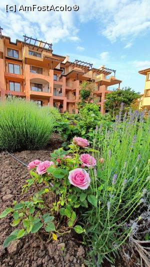 [P26] Prin Kaliakria Resort. » foto by tata123 🔱
 - 
<span class="allrVoted glyphicon glyphicon-heart hidden" id="av1369036"></span>
<a class="m-l-10 hidden" id="sv1369036" onclick="voting_Foto_DelVot(,1369036,26696)" role="button">șterge vot <span class="glyphicon glyphicon-remove"></span></a>
<a id="v91369036" class=" c-red"  onclick="voting_Foto_SetVot(1369036)" role="button"><span class="glyphicon glyphicon-heart-empty"></span> <b>LIKE</b> = Votează poza</a> <img class="hidden"  id="f1369036W9" src="/imagini/loader.gif" border="0" /><span class="AjErrMes hidden" id="e1369036ErM"></span>