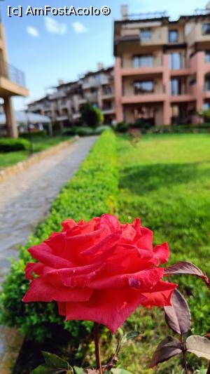 [P36] Prin Kaliakria Resort. » foto by tata123 🔱
 - 
<span class="allrVoted glyphicon glyphicon-heart hidden" id="av1369046"></span>
<a class="m-l-10 hidden" id="sv1369046" onclick="voting_Foto_DelVot(,1369046,26696)" role="button">șterge vot <span class="glyphicon glyphicon-remove"></span></a>
<a id="v91369046" class=" c-red"  onclick="voting_Foto_SetVot(1369046)" role="button"><span class="glyphicon glyphicon-heart-empty"></span> <b>LIKE</b> = Votează poza</a> <img class="hidden"  id="f1369046W9" src="/imagini/loader.gif" border="0" /><span class="AjErrMes hidden" id="e1369046ErM"></span>