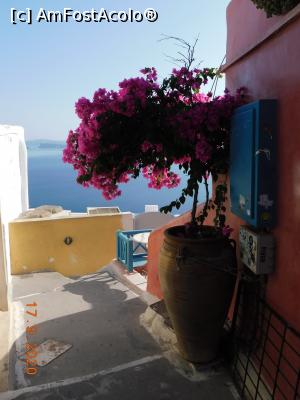 [P02] Din Oia » foto by irinad
 - 
<span class="allrVoted glyphicon glyphicon-heart hidden" id="av1211377"></span>
<a class="m-l-10 hidden" id="sv1211377" onclick="voting_Foto_DelVot(,1211377,26698)" role="button">șterge vot <span class="glyphicon glyphicon-remove"></span></a>
<a id="v91211377" class=" c-red"  onclick="voting_Foto_SetVot(1211377)" role="button"><span class="glyphicon glyphicon-heart-empty"></span> <b>LIKE</b> = Votează poza</a> <img class="hidden"  id="f1211377W9" src="/imagini/loader.gif" border="0" /><span class="AjErrMes hidden" id="e1211377ErM"></span>