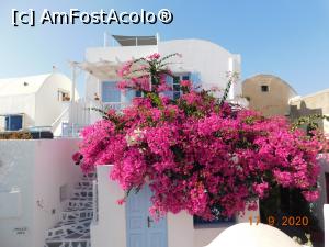 [P32] Din Oia » foto by irinad
 - 
<span class="allrVoted glyphicon glyphicon-heart hidden" id="av1211407"></span>
<a class="m-l-10 hidden" id="sv1211407" onclick="voting_Foto_DelVot(,1211407,26698)" role="button">șterge vot <span class="glyphicon glyphicon-remove"></span></a>
<a id="v91211407" class=" c-red"  onclick="voting_Foto_SetVot(1211407)" role="button"><span class="glyphicon glyphicon-heart-empty"></span> <b>LIKE</b> = Votează poza</a> <img class="hidden"  id="f1211407W9" src="/imagini/loader.gif" border="0" /><span class="AjErrMes hidden" id="e1211407ErM"></span>
