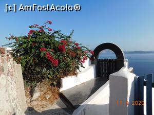 [P55] Altă poartă de hotel din Oia » foto by irinad
 - 
<span class="allrVoted glyphicon glyphicon-heart hidden" id="av1211430"></span>
<a class="m-l-10 hidden" id="sv1211430" onclick="voting_Foto_DelVot(,1211430,26698)" role="button">șterge vot <span class="glyphicon glyphicon-remove"></span></a>
<a id="v91211430" class=" c-red"  onclick="voting_Foto_SetVot(1211430)" role="button"><span class="glyphicon glyphicon-heart-empty"></span> <b>LIKE</b> = Votează poza</a> <img class="hidden"  id="f1211430W9" src="/imagini/loader.gif" border="0" /><span class="AjErrMes hidden" id="e1211430ErM"></span>