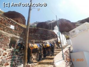 [P75] Măgarii la baza portului Ammoudi, în aşteparea muşteriilor » foto by irinad
 - 
<span class="allrVoted glyphicon glyphicon-heart hidden" id="av1211450"></span>
<a class="m-l-10 hidden" id="sv1211450" onclick="voting_Foto_DelVot(,1211450,26698)" role="button">șterge vot <span class="glyphicon glyphicon-remove"></span></a>
<a id="v91211450" class=" c-red"  onclick="voting_Foto_SetVot(1211450)" role="button"><span class="glyphicon glyphicon-heart-empty"></span> <b>LIKE</b> = Votează poza</a> <img class="hidden"  id="f1211450W9" src="/imagini/loader.gif" border="0" /><span class="AjErrMes hidden" id="e1211450ErM"></span>