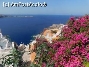 [P08] Din Oia » foto by irinad
 - 
<span class="allrVoted glyphicon glyphicon-heart hidden" id="av1211383"></span>
<a class="m-l-10 hidden" id="sv1211383" onclick="voting_Foto_DelVot(,1211383,26698)" role="button">șterge vot <span class="glyphicon glyphicon-remove"></span></a>
<a id="v91211383" class=" c-red"  onclick="voting_Foto_SetVot(1211383)" role="button"><span class="glyphicon glyphicon-heart-empty"></span> <b>LIKE</b> = Votează poza</a> <img class="hidden"  id="f1211383W9" src="/imagini/loader.gif" border="0" /><span class="AjErrMes hidden" id="e1211383ErM"></span>