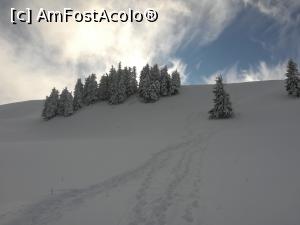 [P33] Brazi, zăpadă și cer albastru » foto by Mika
 - 
<span class="allrVoted glyphicon glyphicon-heart hidden" id="av1214099"></span>
<a class="m-l-10 hidden" id="sv1214099" onclick="voting_Foto_DelVot(,1214099,26716)" role="button">șterge vot <span class="glyphicon glyphicon-remove"></span></a>
<a id="v91214099" class=" c-red"  onclick="voting_Foto_SetVot(1214099)" role="button"><span class="glyphicon glyphicon-heart-empty"></span> <b>LIKE</b> = Votează poza</a> <img class="hidden"  id="f1214099W9" src="/imagini/loader.gif" border="0" /><span class="AjErrMes hidden" id="e1214099ErM"></span>