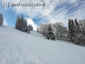 [P35] Brazi, zăpadă și cer albastru » foto by Mika
 - 
<span class="allrVoted glyphicon glyphicon-heart hidden" id="av1214101"></span>
<a class="m-l-10 hidden" id="sv1214101" onclick="voting_Foto_DelVot(,1214101,26716)" role="button">șterge vot <span class="glyphicon glyphicon-remove"></span></a>
<a id="v91214101" class=" c-red"  onclick="voting_Foto_SetVot(1214101)" role="button"><span class="glyphicon glyphicon-heart-empty"></span> <b>LIKE</b> = Votează poza</a> <img class="hidden"  id="f1214101W9" src="/imagini/loader.gif" border="0" /><span class="AjErrMes hidden" id="e1214101ErM"></span>