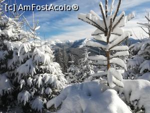 [P39] Vedere spre Munții Neamțului » foto by Mika
 - 
<span class="allrVoted glyphicon glyphicon-heart hidden" id="av1214105"></span>
<a class="m-l-10 hidden" id="sv1214105" onclick="voting_Foto_DelVot(,1214105,26716)" role="button">șterge vot <span class="glyphicon glyphicon-remove"></span></a>
<a id="v91214105" class=" c-red"  onclick="voting_Foto_SetVot(1214105)" role="button"><span class="glyphicon glyphicon-heart-empty"></span> <b>LIKE</b> = Votează poza</a> <img class="hidden"  id="f1214105W9" src="/imagini/loader.gif" border="0" /><span class="AjErrMes hidden" id="e1214105ErM"></span>