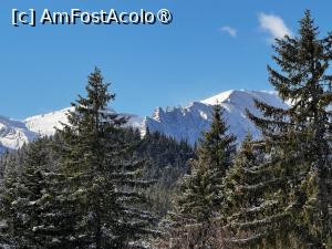 [P04] Colții Morarului văzuți de la Cabana Susai » foto by Mika
 - 
<span class="allrVoted glyphicon glyphicon-heart hidden" id="av1399068"></span>
<a class="m-l-10 hidden" id="sv1399068" onclick="voting_Foto_DelVot(,1399068,26716)" role="button">șterge vot <span class="glyphicon glyphicon-remove"></span></a>
<a id="v91399068" class=" c-red"  onclick="voting_Foto_SetVot(1399068)" role="button"><span class="glyphicon glyphicon-heart-empty"></span> <b>LIKE</b> = Votează poza</a> <img class="hidden"  id="f1399068W9" src="/imagini/loader.gif" border="0" /><span class="AjErrMes hidden" id="e1399068ErM"></span>