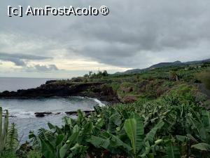[P14] Plantaţii de banani la malul oceanului » foto by Marius 72
 - 
<span class="allrVoted glyphicon glyphicon-heart hidden" id="av1414669"></span>
<a class="m-l-10 hidden" id="sv1414669" onclick="voting_Foto_DelVot(,1414669,26719)" role="button">șterge vot <span class="glyphicon glyphicon-remove"></span></a>
<a id="v91414669" class=" c-red"  onclick="voting_Foto_SetVot(1414669)" role="button"><span class="glyphicon glyphicon-heart-empty"></span> <b>LIKE</b> = Votează poza</a> <img class="hidden"  id="f1414669W9" src="/imagini/loader.gif" border="0" /><span class="AjErrMes hidden" id="e1414669ErM"></span>