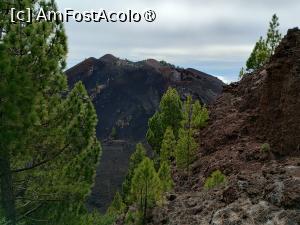 [P21] Vedere de pe Ruta de los Volcanes » foto by Marius 72
 - 
<span class="allrVoted glyphicon glyphicon-heart hidden" id="av1414676"></span>
<a class="m-l-10 hidden" id="sv1414676" onclick="voting_Foto_DelVot(,1414676,26719)" role="button">șterge vot <span class="glyphicon glyphicon-remove"></span></a>
<a id="v91414676" class=" c-red"  onclick="voting_Foto_SetVot(1414676)" role="button"><span class="glyphicon glyphicon-heart-empty"></span> <b>LIKE</b> = Votează poza</a> <img class="hidden"  id="f1414676W9" src="/imagini/loader.gif" border="0" /><span class="AjErrMes hidden" id="e1414676ErM"></span>