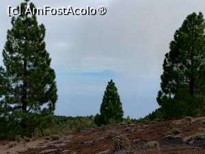 [P29] Vârful Teide văzut de pe Ruta de los Volcanes » foto by Marius 72
 - 
<span class="allrVoted glyphicon glyphicon-heart hidden" id="av1414684"></span>
<a class="m-l-10 hidden" id="sv1414684" onclick="voting_Foto_DelVot(,1414684,26719)" role="button">șterge vot <span class="glyphicon glyphicon-remove"></span></a>
<a id="v91414684" class=" c-red"  onclick="voting_Foto_SetVot(1414684)" role="button"><span class="glyphicon glyphicon-heart-empty"></span> <b>LIKE</b> = Votează poza</a> <img class="hidden"  id="f1414684W9" src="/imagini/loader.gif" border="0" /><span class="AjErrMes hidden" id="e1414684ErM"></span>