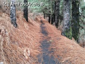 [P35] Ruta de los Volcanes la început » foto by Marius 72
 - 
<span class="allrVoted glyphicon glyphicon-heart hidden" id="av1414690"></span>
<a class="m-l-10 hidden" id="sv1414690" onclick="voting_Foto_DelVot(,1414690,26719)" role="button">șterge vot <span class="glyphicon glyphicon-remove"></span></a>
<a id="v91414690" class=" c-red"  onclick="voting_Foto_SetVot(1414690)" role="button"><span class="glyphicon glyphicon-heart-empty"></span> <b>LIKE</b> = Votează poza</a> <img class="hidden"  id="f1414690W9" src="/imagini/loader.gif" border="0" /><span class="AjErrMes hidden" id="e1414690ErM"></span>