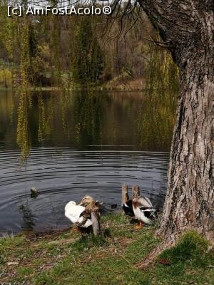 [P45] Lacul Invartita » foto by MaraMura
 - 
<span class="allrVoted glyphicon glyphicon-heart hidden" id="av1298851"></span>
<a class="m-l-10 hidden" id="sv1298851" onclick="voting_Foto_DelVot(,1298851,26734)" role="button">șterge vot <span class="glyphicon glyphicon-remove"></span></a>
<a id="v91298851" class=" c-red"  onclick="voting_Foto_SetVot(1298851)" role="button"><span class="glyphicon glyphicon-heart-empty"></span> <b>LIKE</b> = Votează poza</a> <img class="hidden"  id="f1298851W9" src="/imagini/loader.gif" border="0" /><span class="AjErrMes hidden" id="e1298851ErM"></span>
