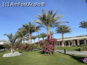 [P40] Rixos Premium Magawish - magazine în resort » foto by nicole33
 - 
<span class="allrVoted glyphicon glyphicon-heart hidden" id="av1418576"></span>
<a class="m-l-10 hidden" id="sv1418576" onclick="voting_Foto_DelVot(,1418576,26752)" role="button">șterge vot <span class="glyphicon glyphicon-remove"></span></a>
<a id="v91418576" class=" c-red"  onclick="voting_Foto_SetVot(1418576)" role="button"><span class="glyphicon glyphicon-heart-empty"></span> <b>LIKE</b> = Votează poza</a> <img class="hidden"  id="f1418576W9" src="/imagini/loader.gif" border="0" /><span class="AjErrMes hidden" id="e1418576ErM"></span>