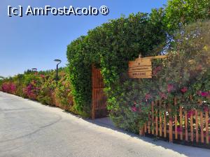 [P88] Rixos Premium Magawish - la Organic Farm » foto by nicole33
 - 
<span class="allrVoted glyphicon glyphicon-heart hidden" id="av1418624"></span>
<a class="m-l-10 hidden" id="sv1418624" onclick="voting_Foto_DelVot(,1418624,26752)" role="button">șterge vot <span class="glyphicon glyphicon-remove"></span></a>
<a id="v91418624" class=" c-red"  onclick="voting_Foto_SetVot(1418624)" role="button"><span class="glyphicon glyphicon-heart-empty"></span> <b>LIKE</b> = Votează poza</a> <img class="hidden"  id="f1418624W9" src="/imagini/loader.gif" border="0" /><span class="AjErrMes hidden" id="e1418624ErM"></span>